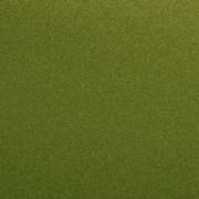 Exotic Green / one tone