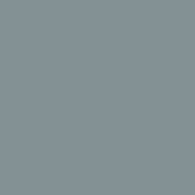 Gray Two-tone