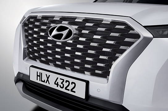 Palisade black & silver paint radiator grille 