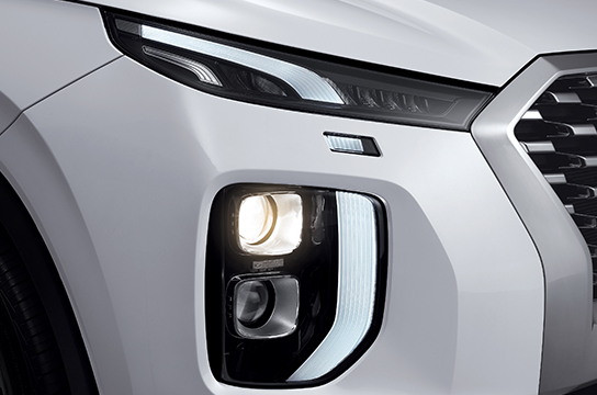 Palisade projection headlamps