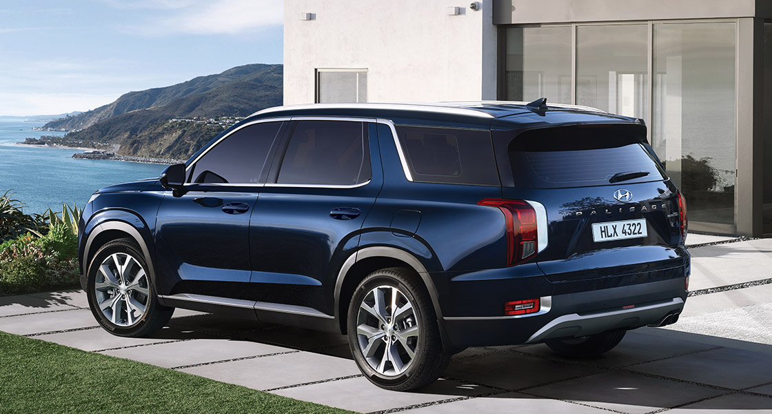 Palisade rear view