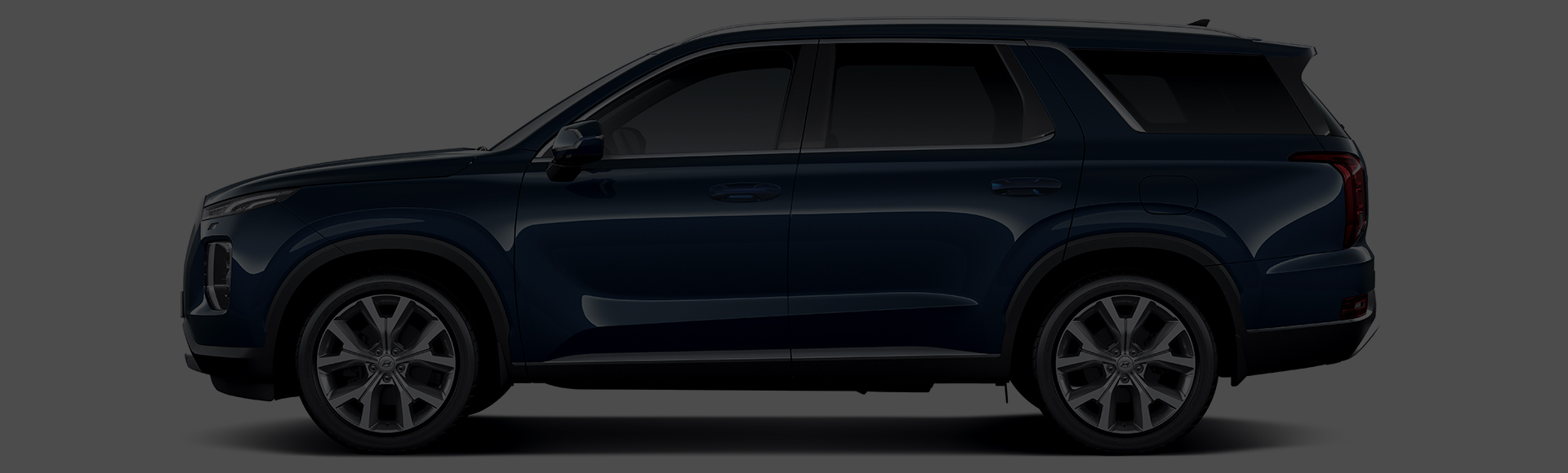 Palisade exterior side design