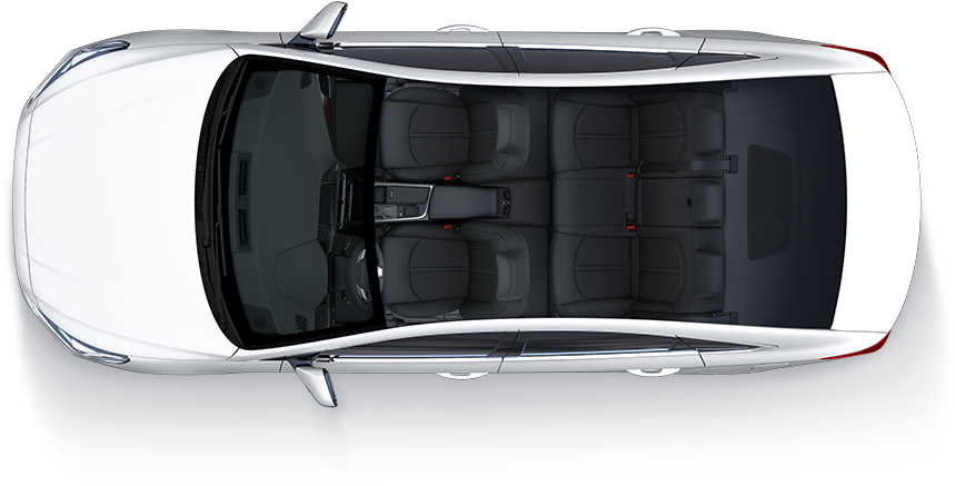 Black one-tone seat color