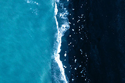World Oceans Day - Coming together to protect our seas